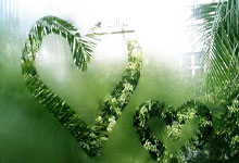 Pizza: Its Revolutionary Journey and What It Means for Our Future