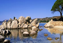 Meta Stock Price: What the Data Reveals